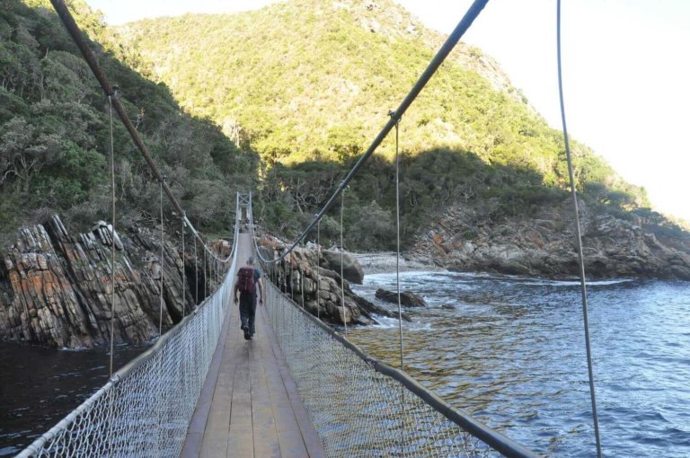 ציציקמה סטורמס ריבר דרום אפריקה גשרים שמורה