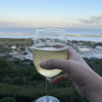 נוף מדהים של ים, פלטנברג ביי, דרך הגנים, דרום אפריקה, כוס יין