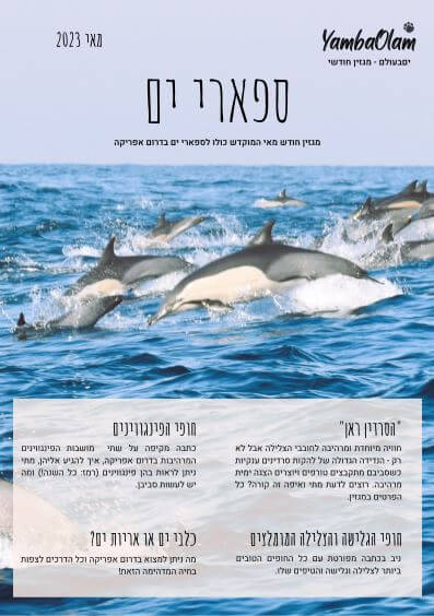 שער גיליון ספארי ים מגזין הטיולים של יםבעולם לדרום אפריקה