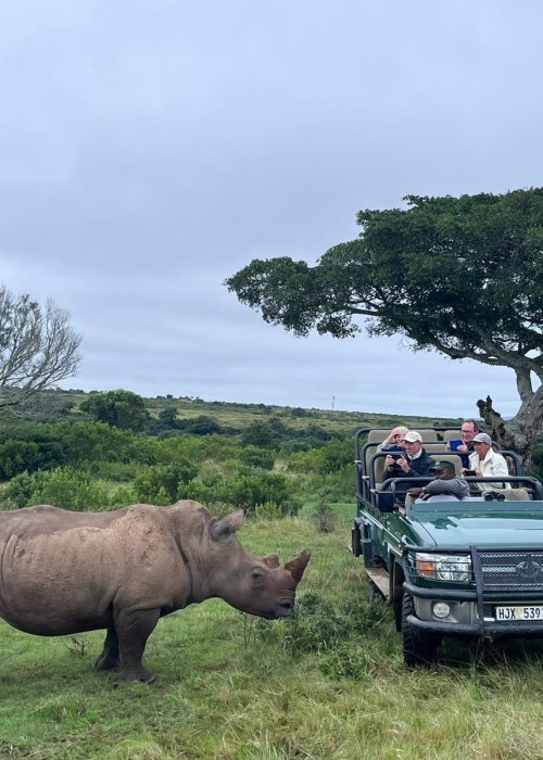 קרנף מול רכב ספארי בשמורת קרייגה דרום אפריקה